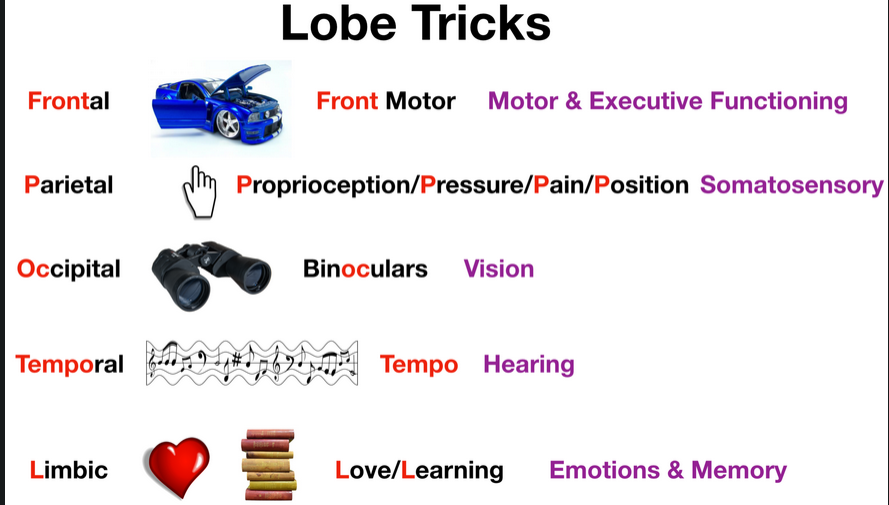 lobtrick